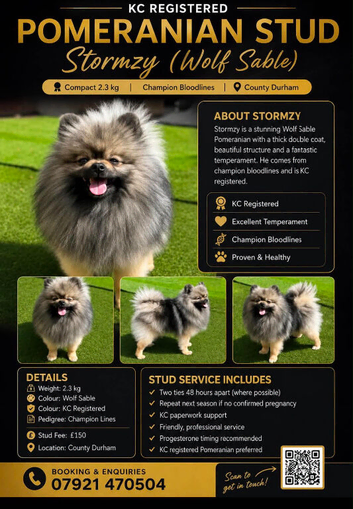Stormzy stud