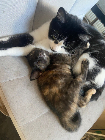 Pair of girls looking for home together
