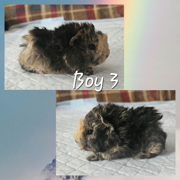 Beautiful funky babies