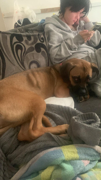 Lovely girl needs a home today