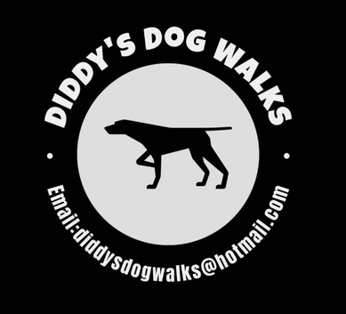 Diddy's Dog Walks