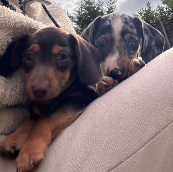 2 sisters