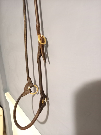 Arab Show Headcollar/Halter Rolled Leather