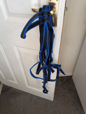 Libby's pony webbing bridle and reins new