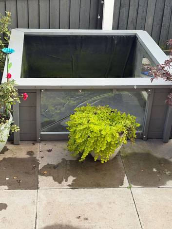 Full pond set up for sale
