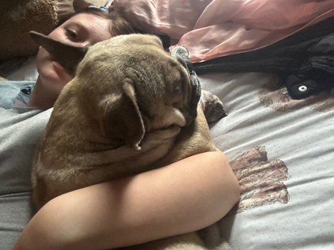 Lovley pups for sale pm for info