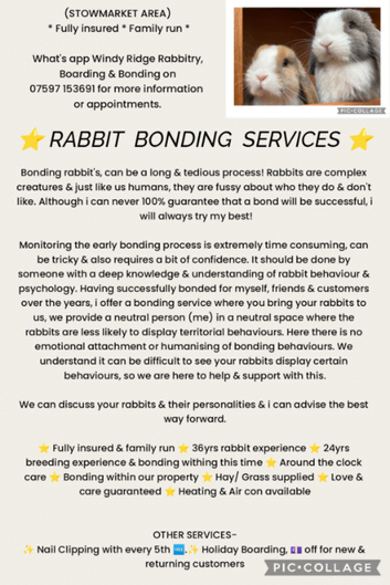 Rabbit Bonding