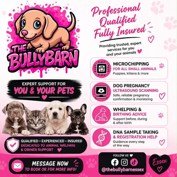 Pet microchipping