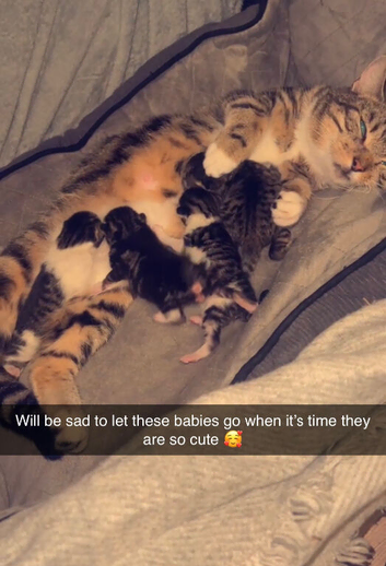 1 little girl left