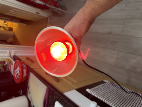Exo Terra Heat Lamp