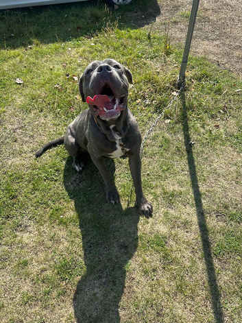 Lovely boy