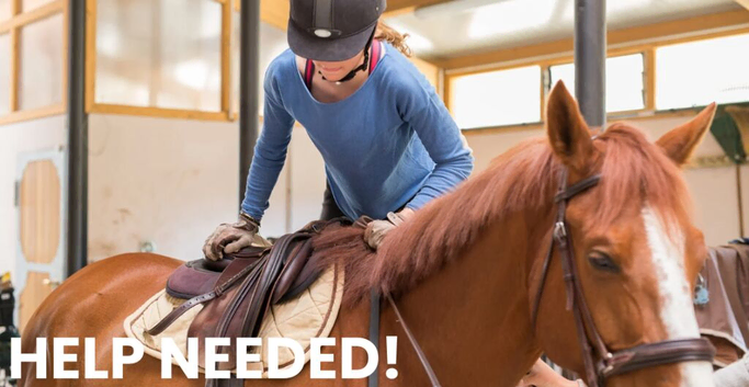 BHS Qualified Freelance Instructor Wanted &ndash; Cornwall