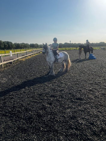 Looking for a cheap novice pony for my daughter