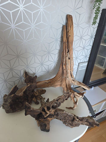 Bogwood