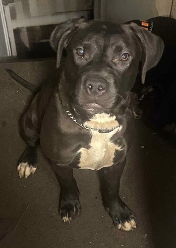 Missing &pound;250 reward