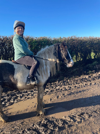 Flo 13hh Traditional Cob Mare