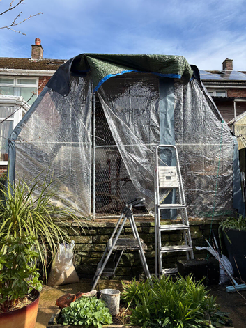 Full chicken coop