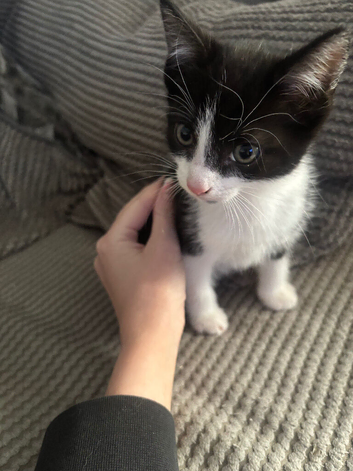 Black and white female