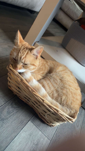 Looking for new home