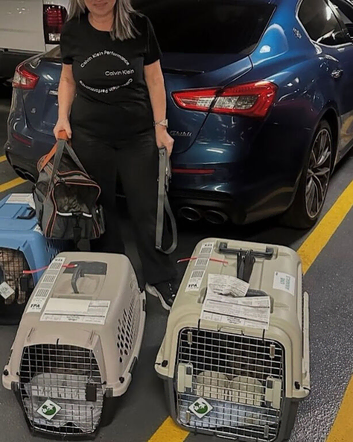 Cats/Dogs Urban Living Housing