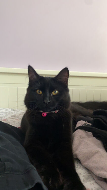 Olivia