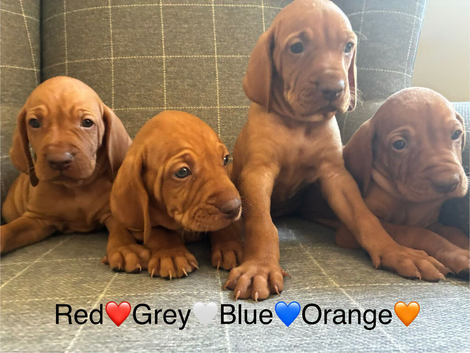️4 BOYS REMAINING &pound;1,600 ️
