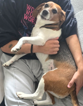 Experienced Adult-Only Home Needed for Lady