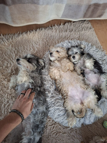 2 BEAUTIFUL GIRLS AVAILABLE