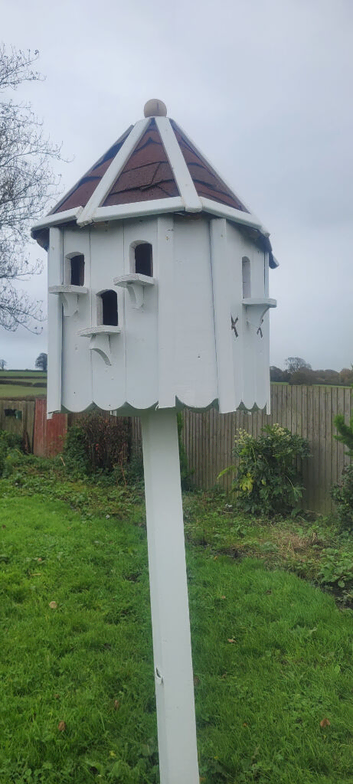Dove cot