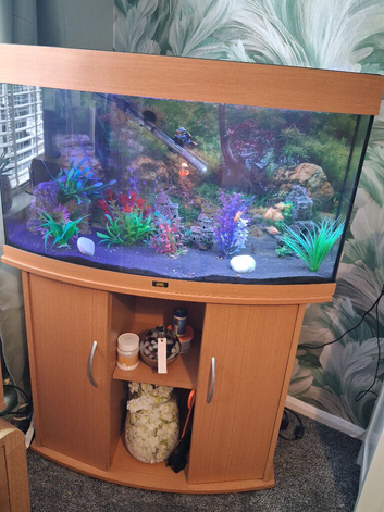Complete set up
