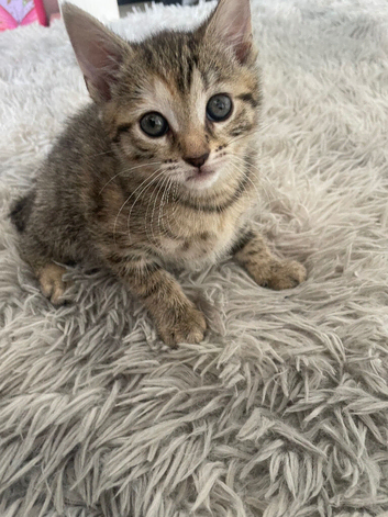 Stunning little boy