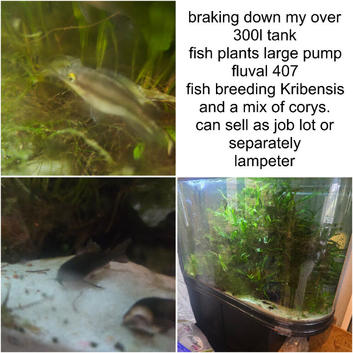 Fish tank and