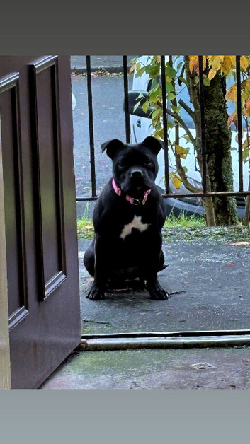 Kc reg black girl