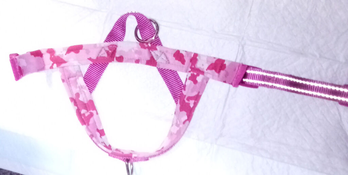 POSH PAWS HARNESS AND LEAD SET JUST &pound;15 FREE DELIVERY