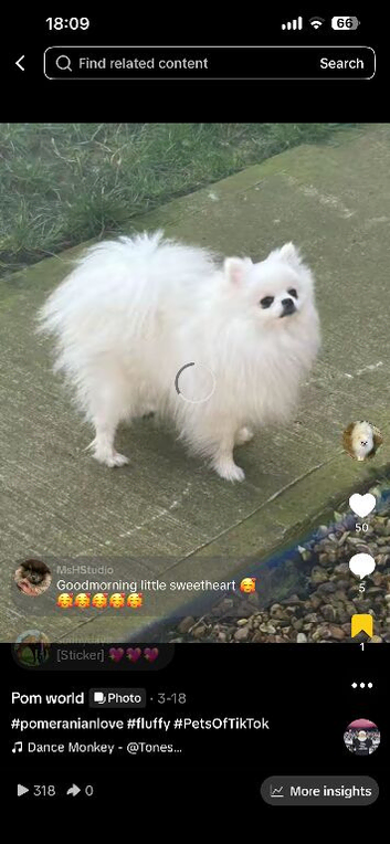 Pure white stunning girl