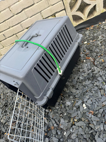 Large cat carrier