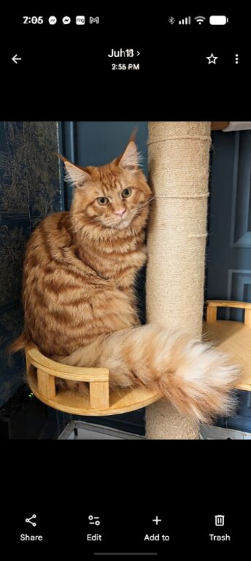 9 month old boy