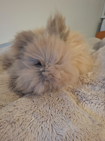 Gorgeous girl