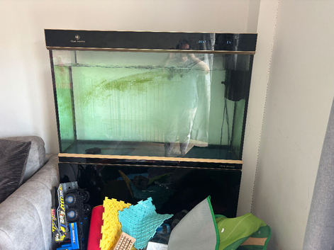 Touch screen fish tank and stand