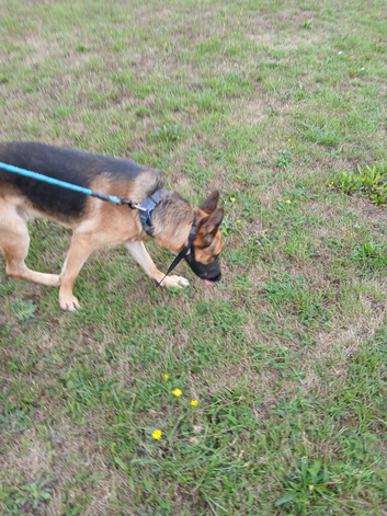 2 year old boy