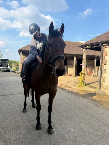 16.2hh 6 year old tb