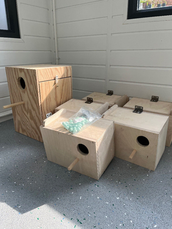 Budgie and cockatiel nesting boxes