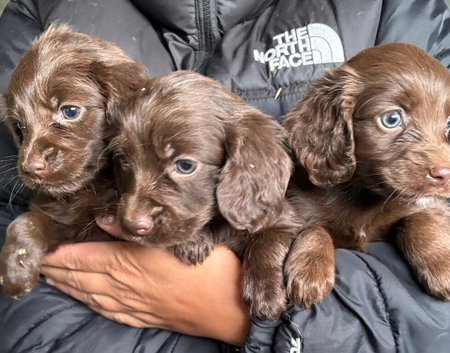 3 beautiful boys