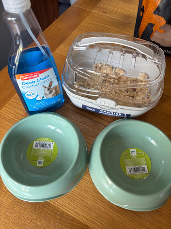 Hamster and set up for sale
