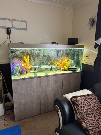 5ft fish tank