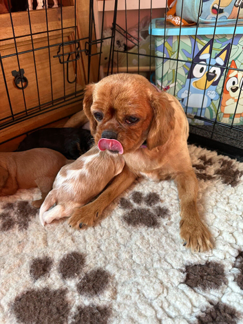 Adorable babies