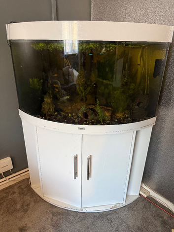 Jewel 190 corner fish tank