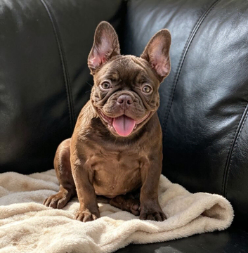 Beautiful girl ready now