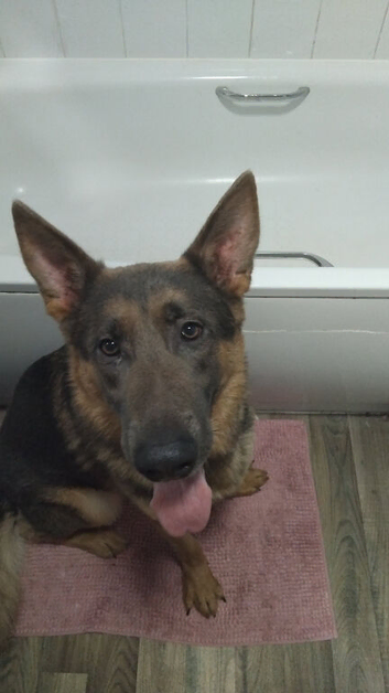New home for lulu
