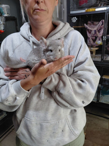Male kit RESERVED
